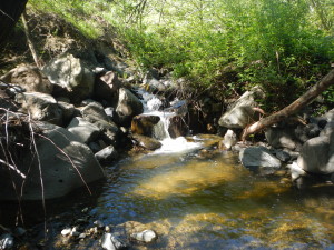 Creek.Upper Adobe