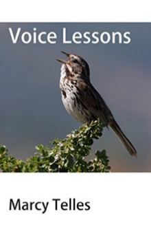 Telles.Voice Lessons